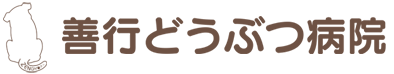 善行どうぶつ病院