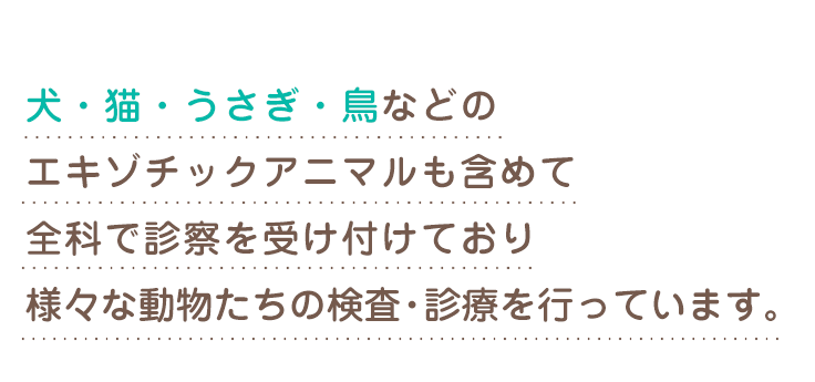 犬・猫・うさぎ・鳥などのエキゾチックアニマルも含めて全科で診察を受け付けており様々な動物たちの検査・診療を行っています。